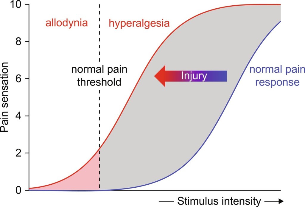 A figure depicting the change in in the relationship between stimulus intensity and pain sensation