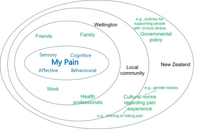 A series of circles within each other. An inner circle with "my pain" surrounded by "sensory", "affective", "cognitive", and "behavioural". The next circle surrounding the inner circle, has "friends", "family", "work". The next circle has "health professoinals" straddling the boundary, and "Wellington" and "Local community" within. The widest circle, "New Zealand" has "Governmental policy, e.g., policies for supporting people with chronic illness" and "Cultural norms regarding pain experience, e.g., gender biases, sharing or hiding pain".