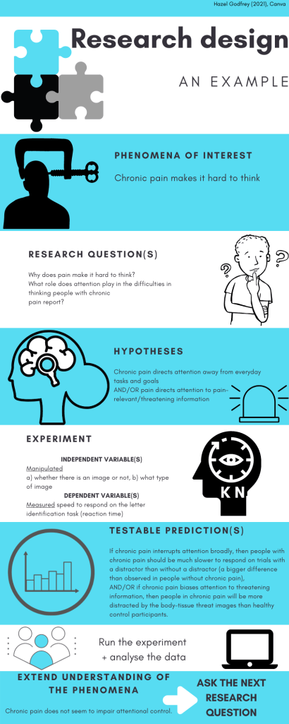Infographic representing the research process as described in text. 